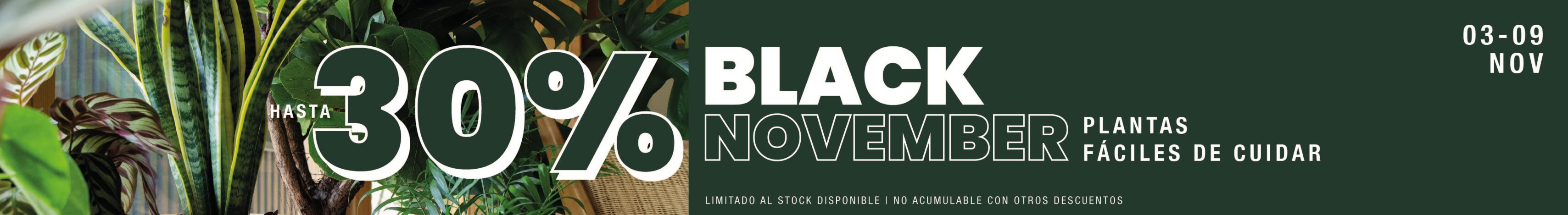 Hasta 30% de Descuento en Plantas Fáciles de Cuidar